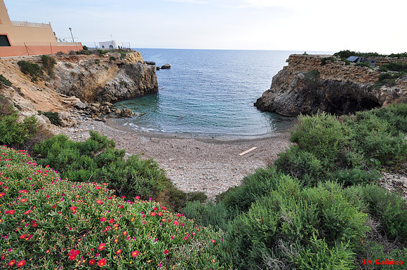 CALA