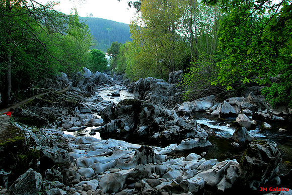 RIO PAS EN PUENTE VIESGO