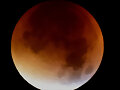 LUNA ROJA