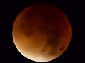 LUNA DE SANGRE
