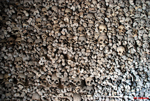 OSARIO DE WAMBA