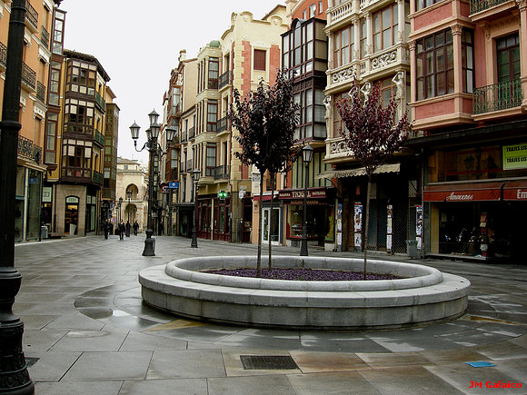 PLAZA DEL MAESTRO HAEDO. ZAMORA