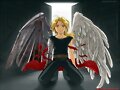ANGEL ED