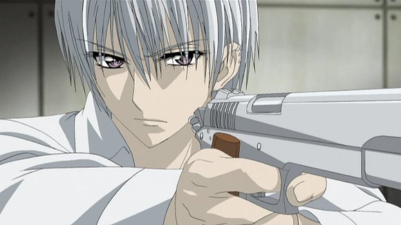 Zero...Vampire knight