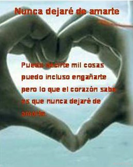 Nunca dejaré de amarte