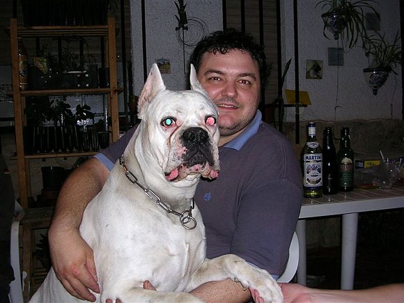 mi ninio