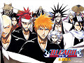 [[--[[ ichigo and gotei 13 ]]--]