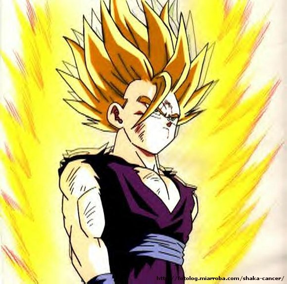 gojan en super sayajin (en la batalla contra cell)