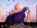CH TAJ MAHAL DE LA TRUFFE EN QUERCY prop. Alt camp