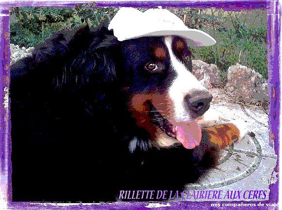 rillette, que me espera...