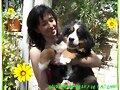 cachorro de l&#039; alt camp.2  y yo