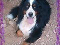 Mi pr&iacute;ncipe, con casi 11 a&ntilde;os!
