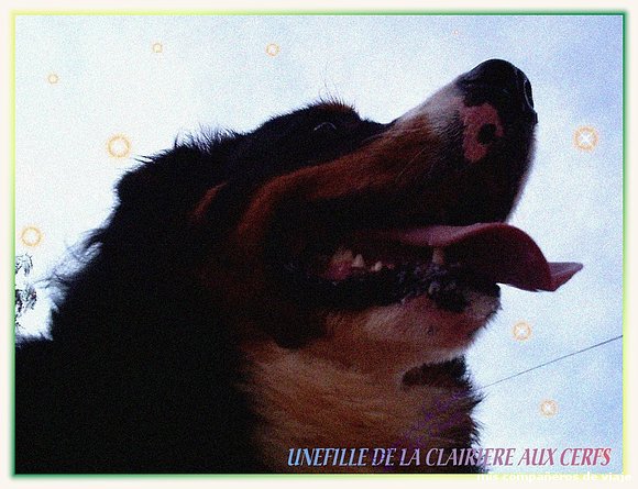 unefille, ¿hay ovnis o no?