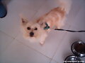CHIQUI