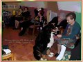 Bouviers de Berna EN TERAPIA  Residencia 3a edad