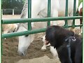 En TAKODA