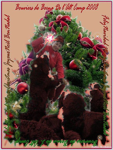 FELIZ NAVIDAD PARA TODOS/AS!!!!!!
