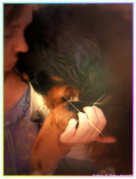 TRUE LOVE
