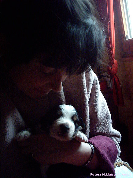 PUPPY
