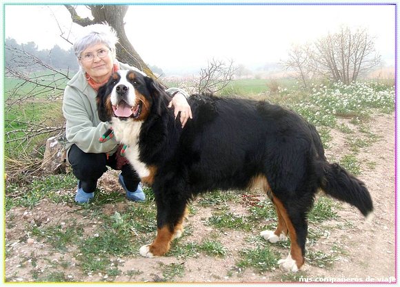 CH TEXANNE DE LA TRUFFE EN QUERCY prop.DEL'ALTCAMP