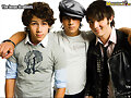 the jonas brothers