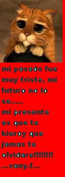 VANY.F_ELFOCO