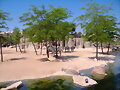 Bioparc