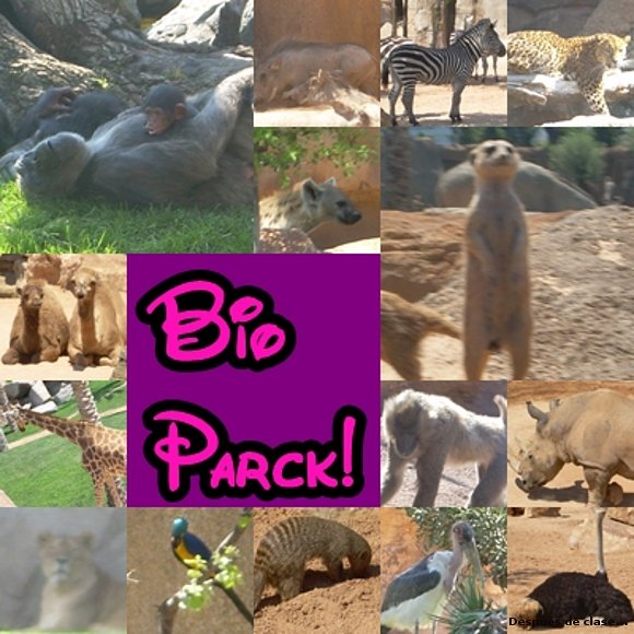 Otro montaje de Bioparc