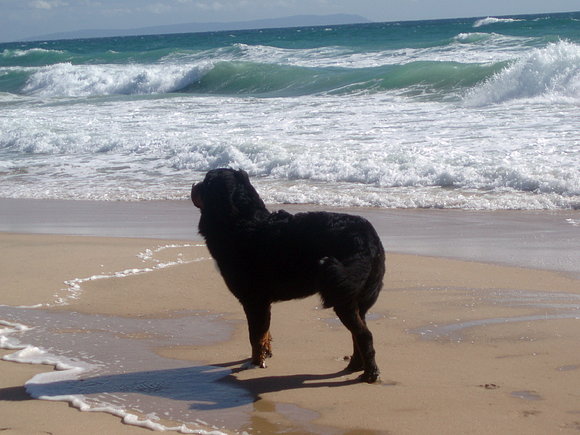 ME ENCANTA LA PLAYA DE CADIZ!