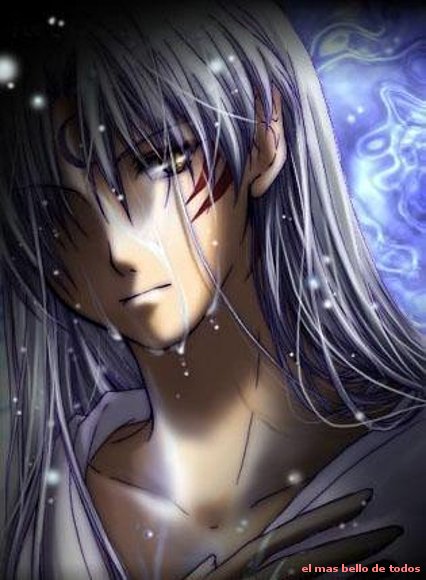 mi amado sesshomaru