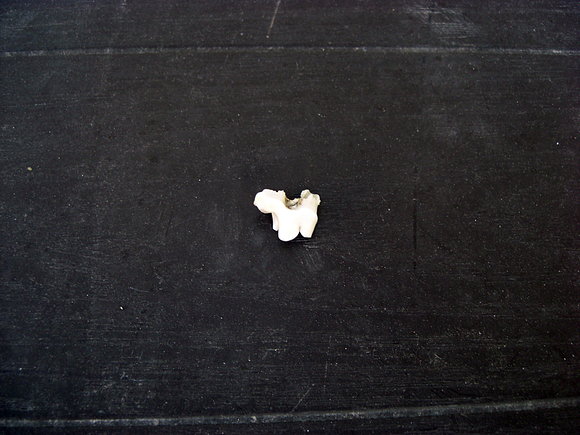 La muela de leche