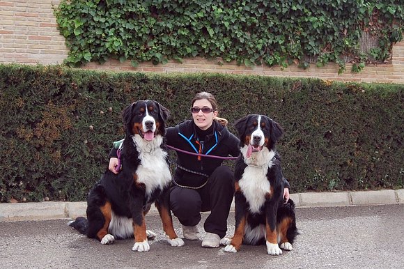 Cris y las Fieras