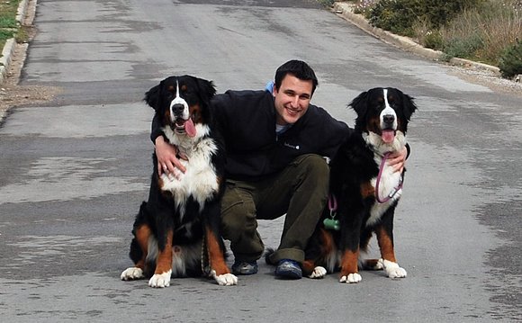 Raul y las fieras