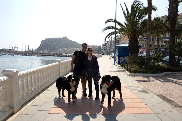 Aguilas y Nosotros