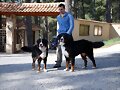 Raul y las fieras en Lo Alto