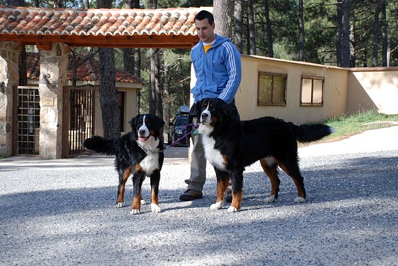 Raul y las fieras en Lo Alto
