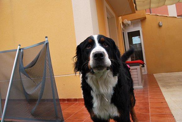 Sacha reclama algo de intimidad