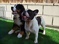Asia y Niko