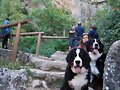 En los chorros del rio mundo