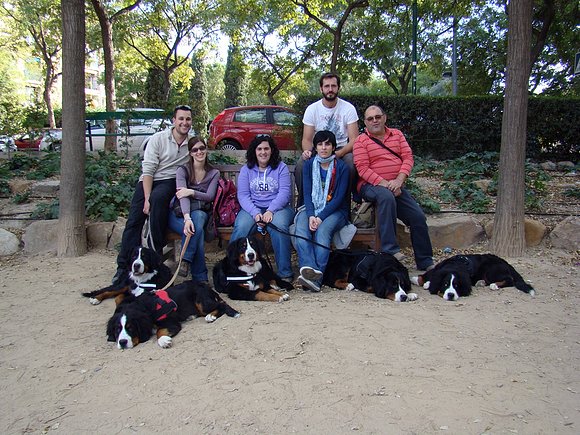 De ruta por los jardines Murcianos