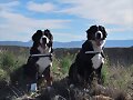 Mis Ni&ntilde;as in the mountain