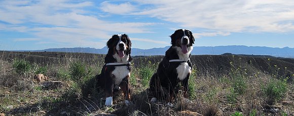 Mis Niñas in the mountain