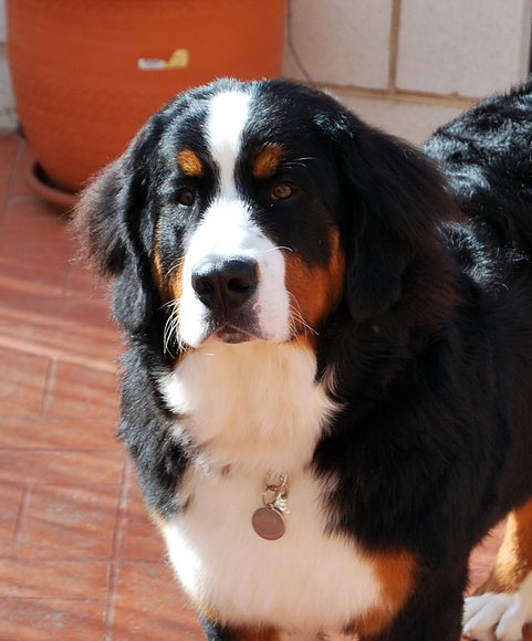 Asia con 7 meses...........sin comentarios!!!