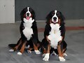 Sacha y Asia.....Que guapaaaas