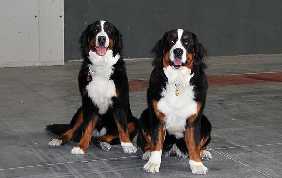Sacha y Asia.....Que guapaaaas