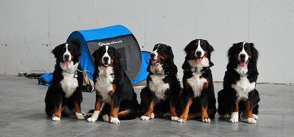La tribu de los Quechua
