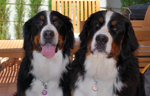 Sachita y Asia