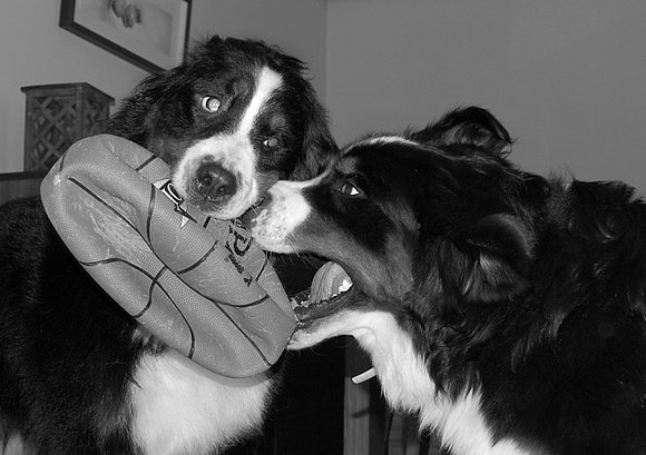 Jugando!!!