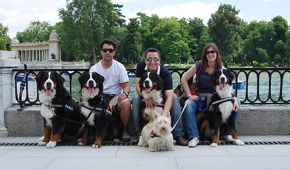 En el retiro