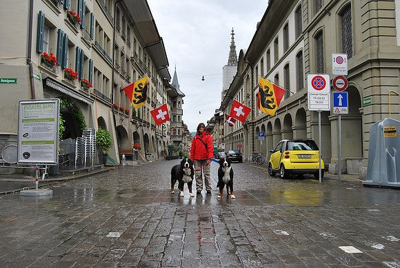 Mis niñas en berna